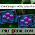 5Gm Kamagra 100Mg Oral Jelly 03